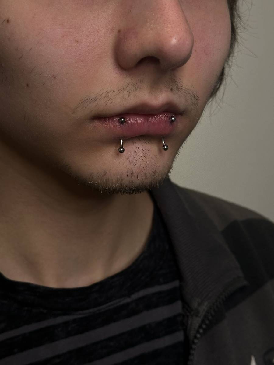 Snake bites, piercing pier, Poprad